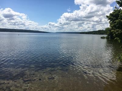 Owasco Lake.jpg